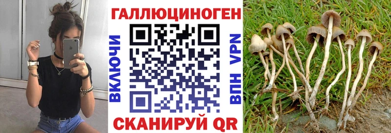 OMG   Агрыз  Галлюциногенные грибы мицелий 